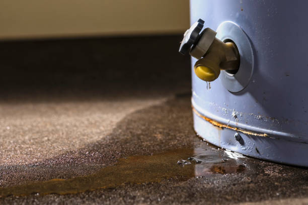 Best Water damage cleanup near me  in Ramtown, NJ