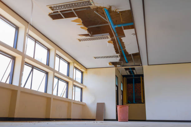 Best Basement water damage restoration  in Ramtown, NJ
