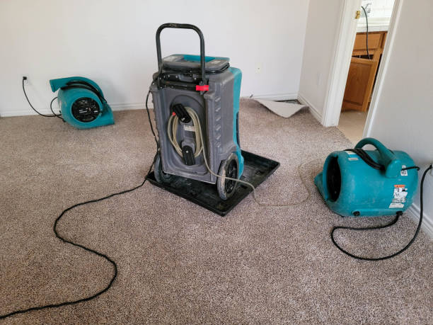 Best Water damage mitigation services  in Ramtown, NJ
