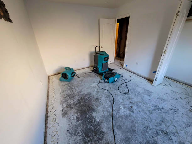 Water damage restoration mold remediation in NJ