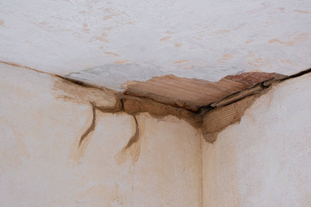 Best Carpet water damage restoration  in Ramtown, NJ