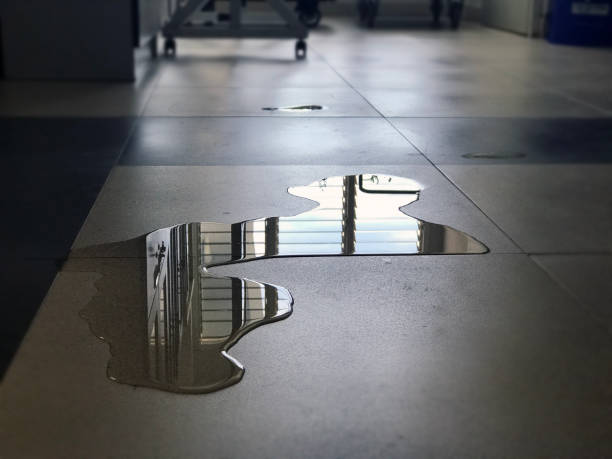 Best Water damage restoration near me  in Ramtown, NJ