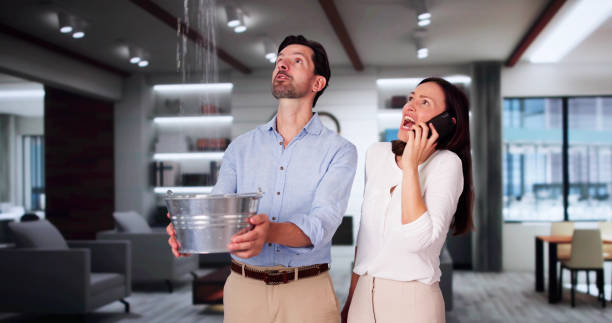 Best Basement water damage restoration  in Ramtown, NJ